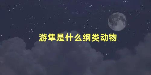 游隼是什么纲类动物