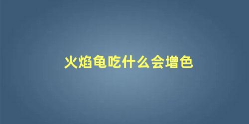 火焰龟吃什么会增色