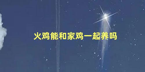 火鸡能和家鸡一起养吗