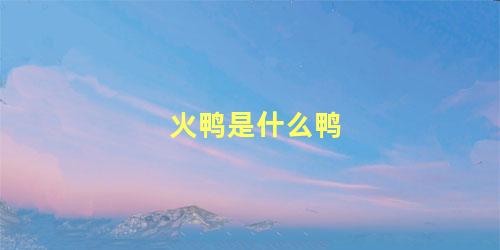火鸭是什么鸭