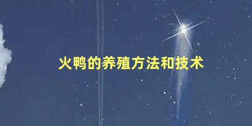 火鸭的养殖方法和技术