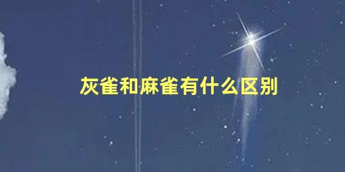 灰雀和麻雀有什么区别