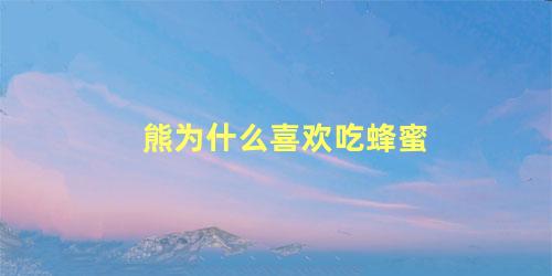 熊为什么喜欢吃蜂蜜