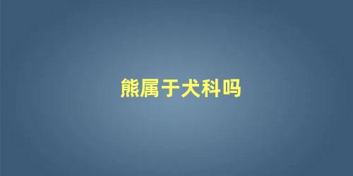 熊属于犬科吗