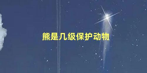 熊是几级保护动物