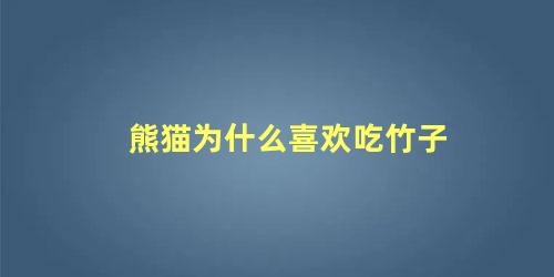 熊猫为什么喜欢吃竹子