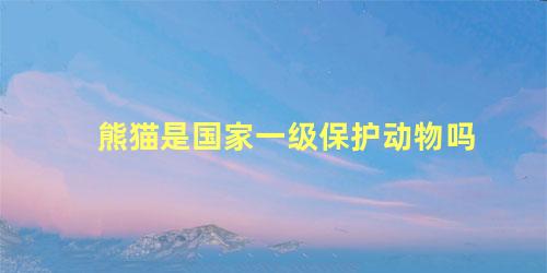 熊猫是国家一级保护动物吗