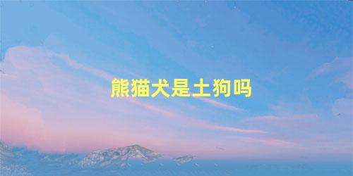 熊猫犬是土狗吗
