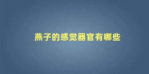 燕子的感觉器官有哪些