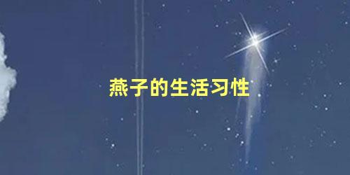 燕子的生活习性