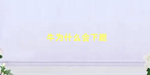 牛为什么会下跪
