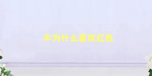 牛为什么喜欢红色