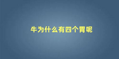 牛为什么有四个胃呢