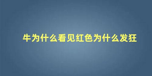 牛为什么看见红色为什么发狂