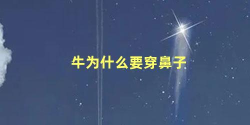 牛为什么要穿鼻子