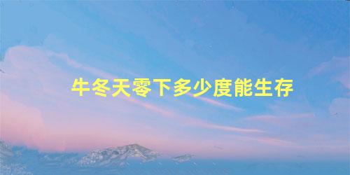 牛冬天零下多少度能生存
