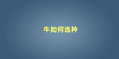 牛如何选种