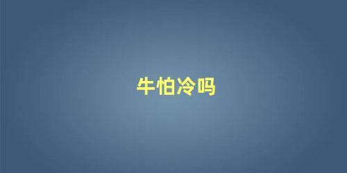 牛怕冷吗