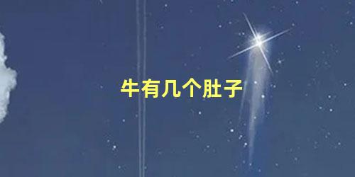 牛有几个肚子