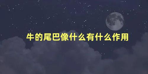 牛的尾巴像什么有什么作用