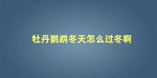 牡丹鹦鹉冬天怎么过冬啊