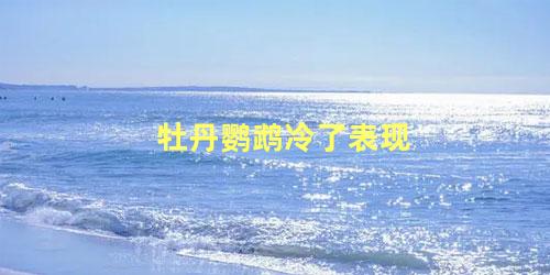 牡丹鹦鹉冷了表现