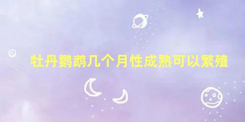 牡丹鹦鹉几个月性成熟可以繁殖