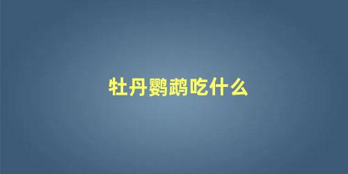 牡丹鹦鹉吃什么