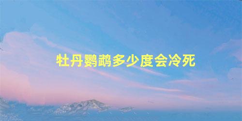 牡丹鹦鹉多少度会冷死
