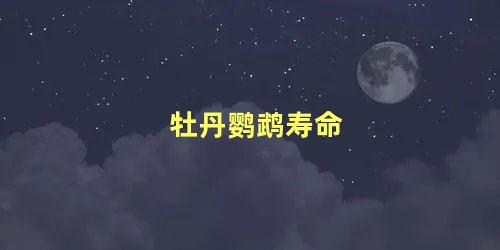 牡丹鹦鹉寿命