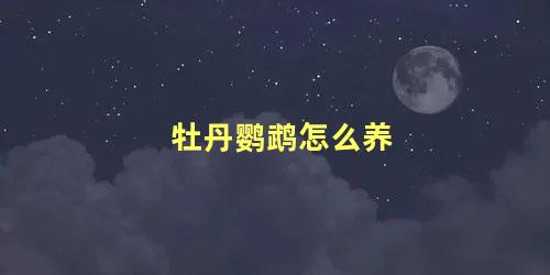 牡丹鹦鹉怎么养