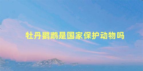 牡丹鹦鹉是国家保护动物吗
