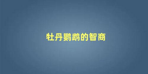 牡丹鹦鹉的智商