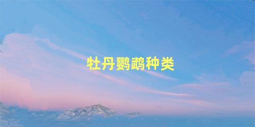 牡丹鹦鹉种类
