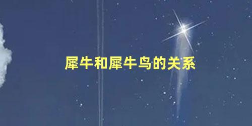犀牛和犀牛鸟的关系