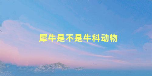 犀牛是不是牛科动物