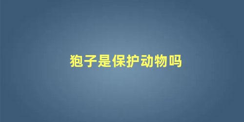 狍子是保护动物吗