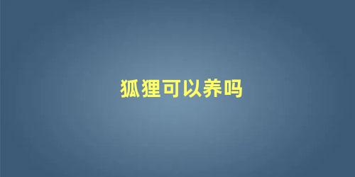 狐狸可以养吗