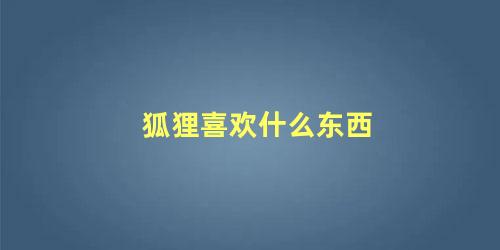狐狸喜欢什么东西