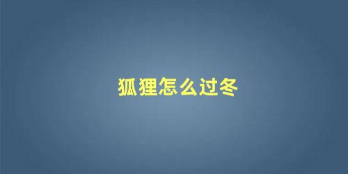 狐狸怎么过冬