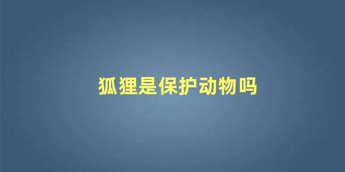 狐狸是保护动物吗