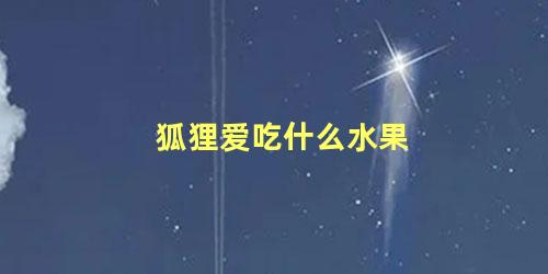 狐狸爱吃什么水果