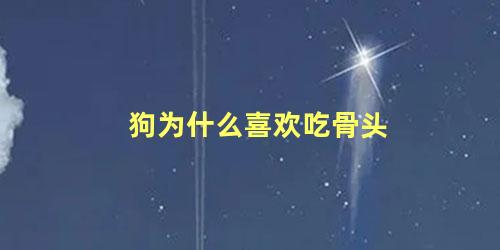 狗为什么喜欢吃骨头