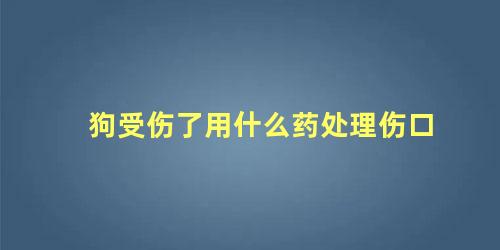 狗受伤了用什么药处理伤口