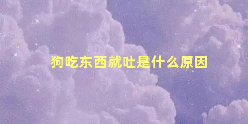 狗吃东西就吐是什么原因
