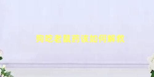 狗吃老鼠药该如何解救