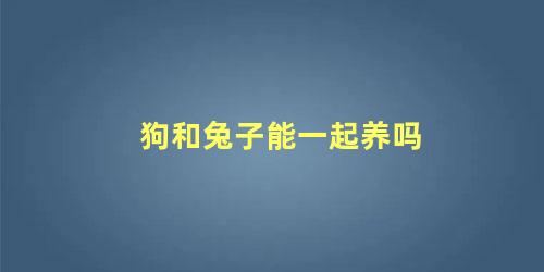 狗和兔子能一起养吗