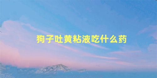 狗子吐黄粘液吃什么药