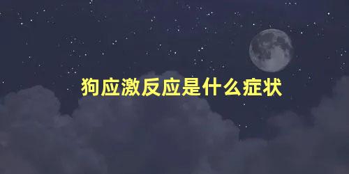 狗应激反应是什么症状