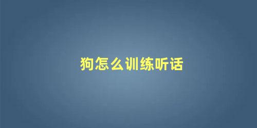 狗怎么训练听话